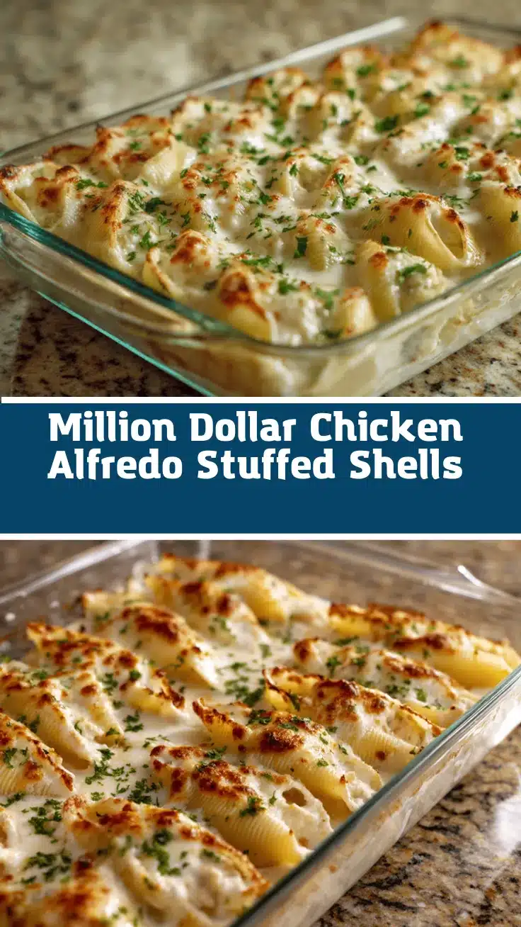 chicken alfredo stuffed shells recipe